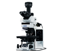 奥林巴斯电动荧光显微镜BX63